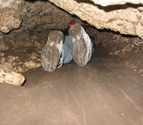 Wnętrze jaskini berkowej w Podlesicach na Jurze Krakowsko-Częstochowskiej